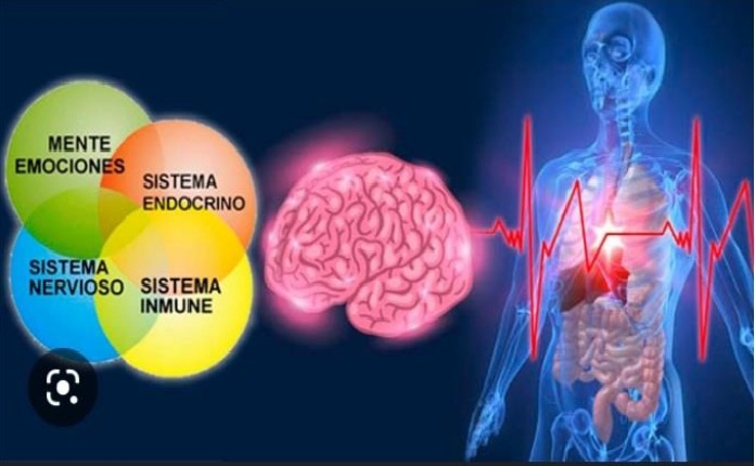 psiconeuroinmunologia